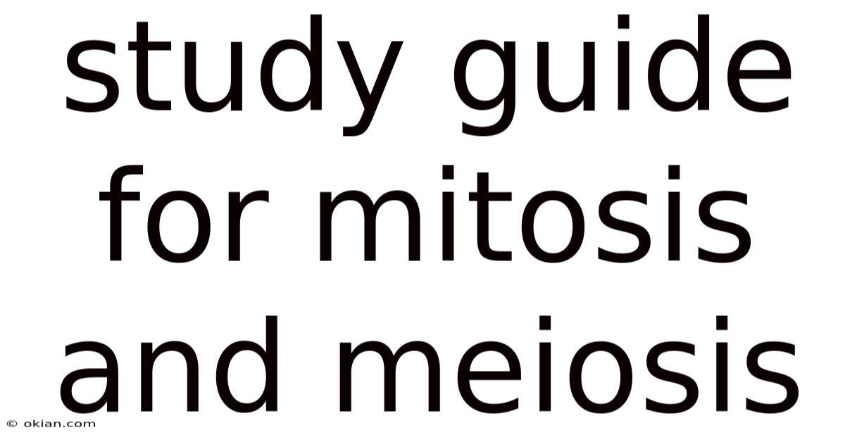 Study Guide For Mitosis And Meiosis