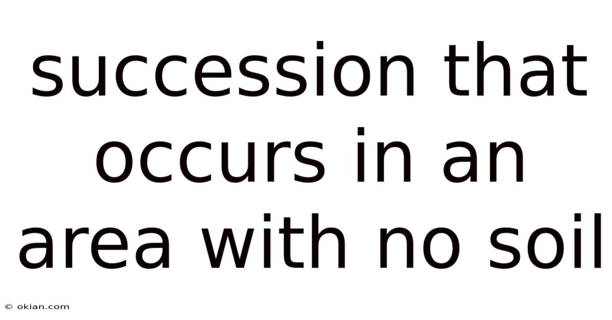 Succession That Occurs In An Area With No Soil