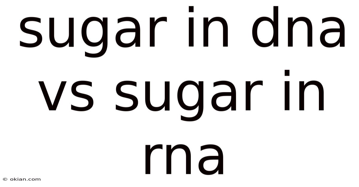 Sugar In Dna Vs Sugar In Rna