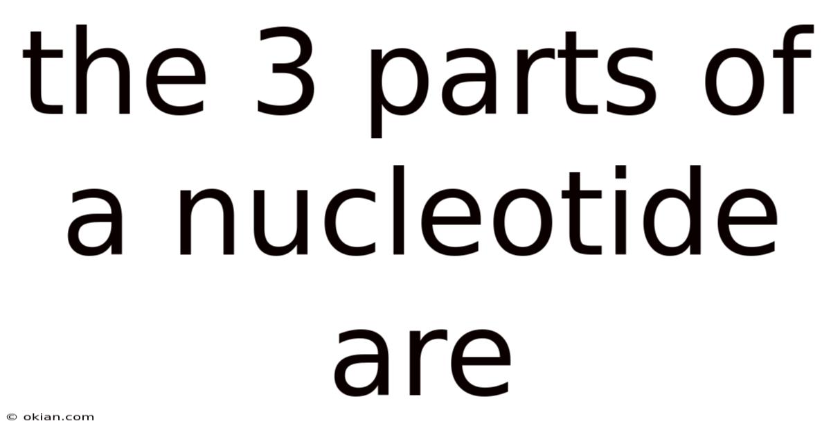 The 3 Parts Of A Nucleotide Are