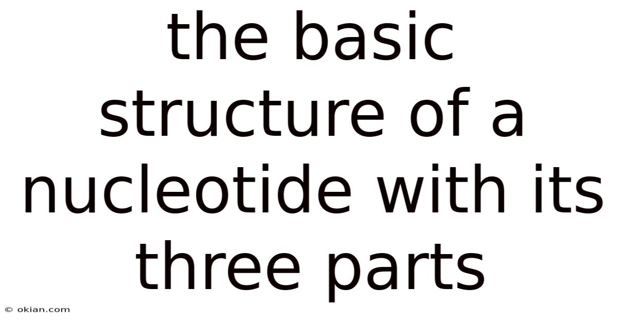 The Basic Structure Of A Nucleotide With Its Three Parts