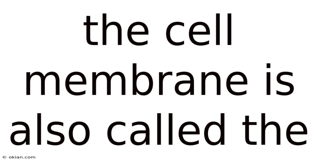 The Cell Membrane Is Also Called The