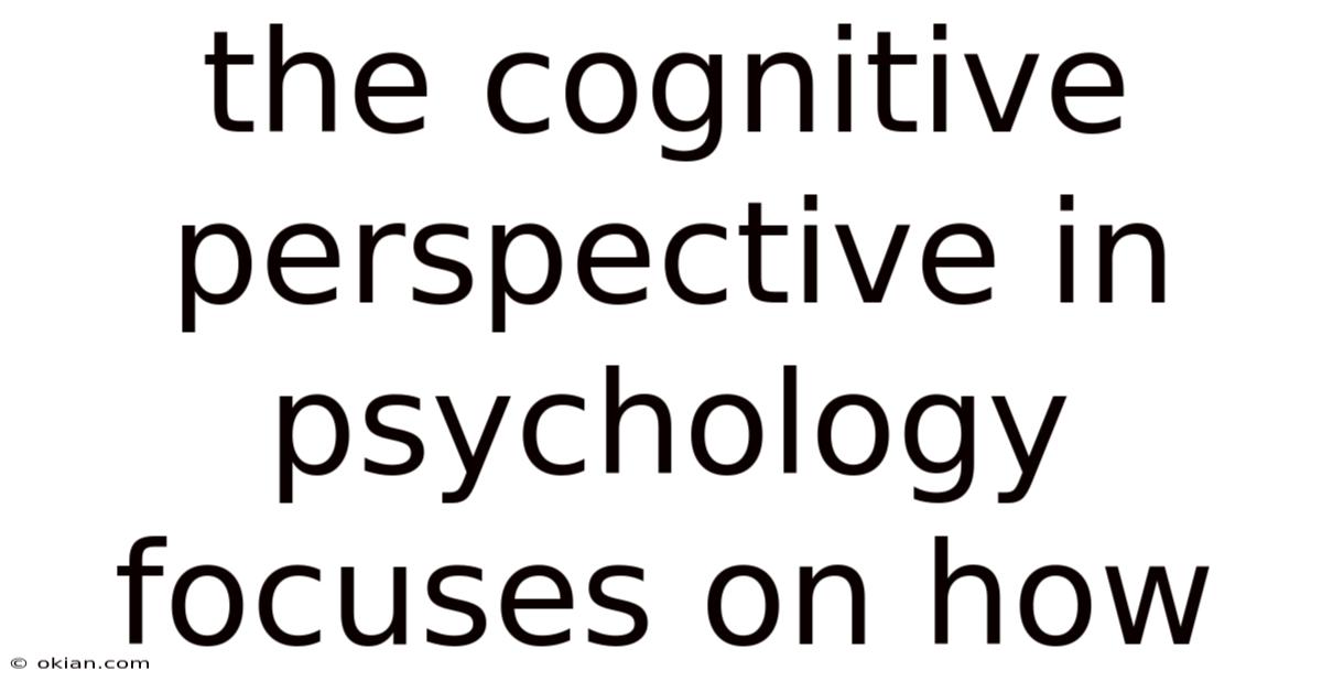 The Cognitive Perspective In Psychology Focuses On How