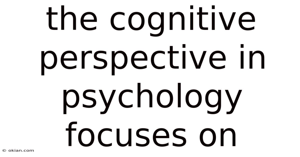 The Cognitive Perspective In Psychology Focuses On