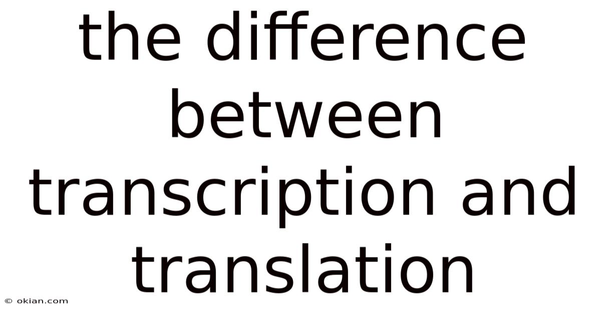 The Difference Between Transcription And Translation
