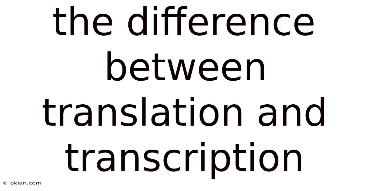 The Difference Between Translation And Transcription