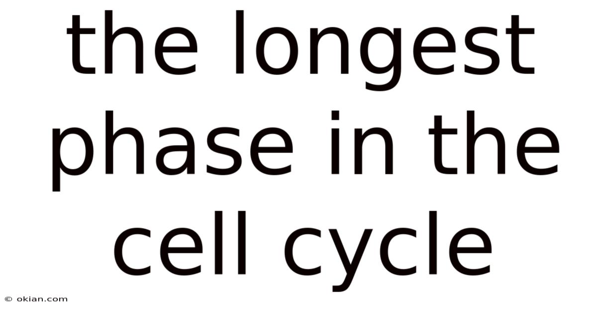 The Longest Phase In The Cell Cycle