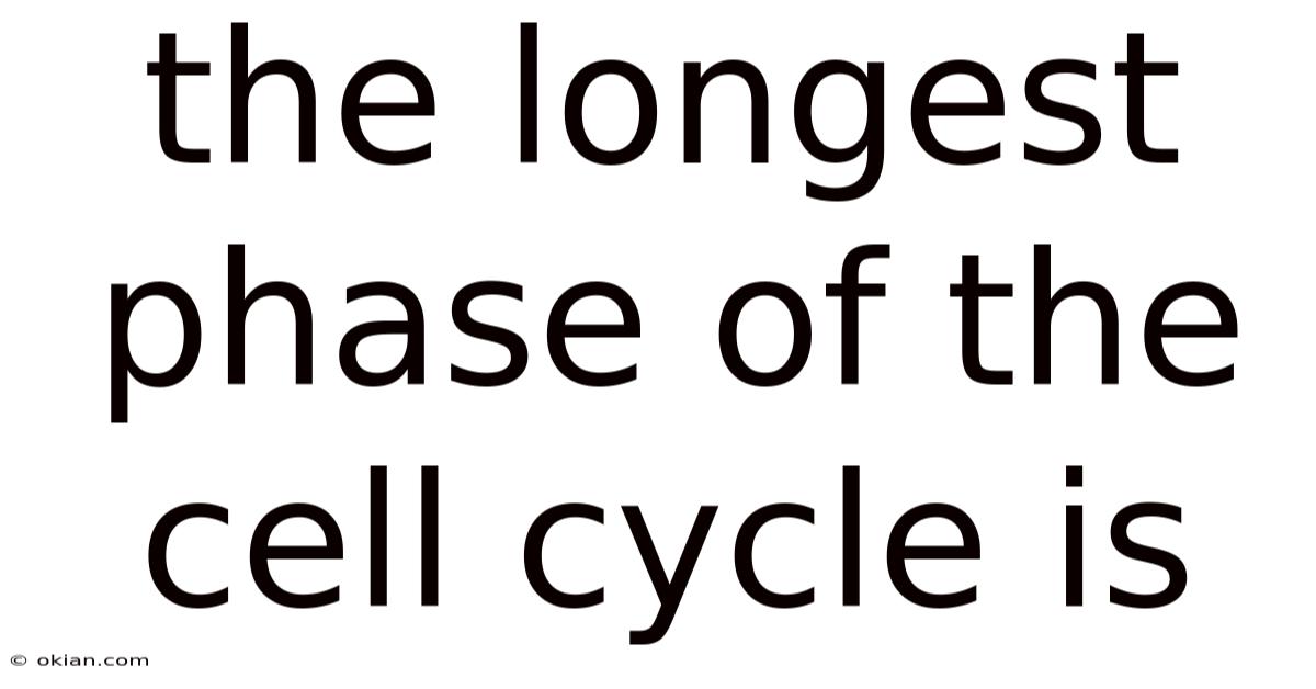 The Longest Phase Of The Cell Cycle Is