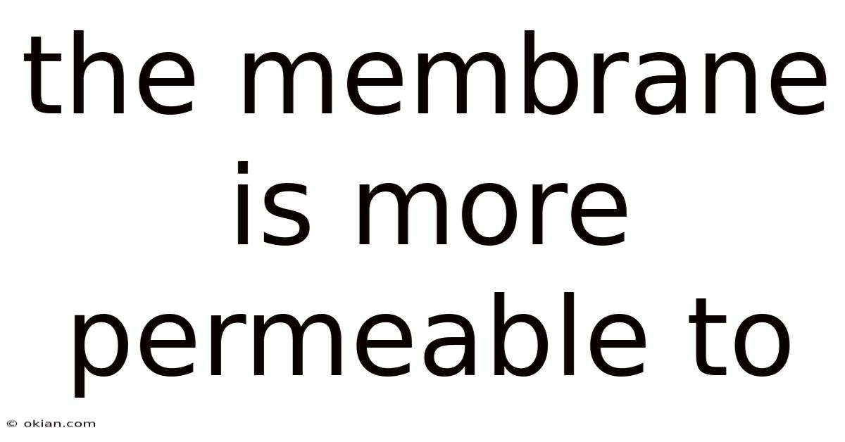 The Membrane Is More Permeable To