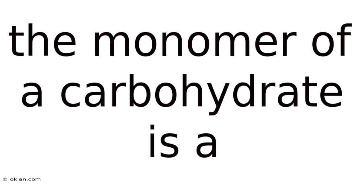 The Monomer Of A Carbohydrate Is A