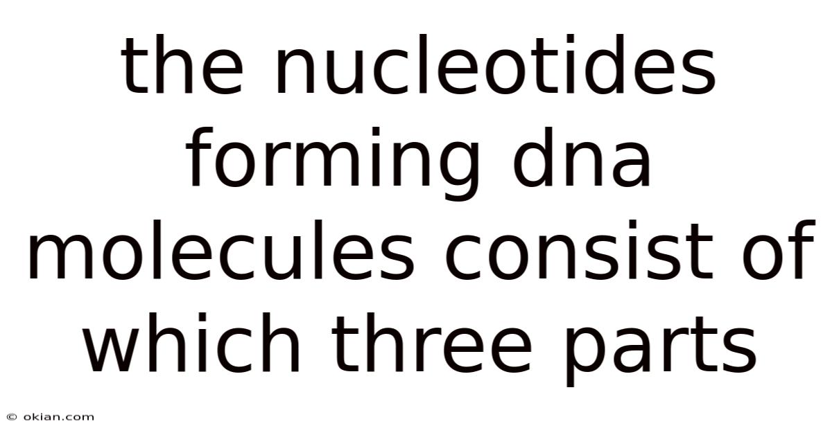 The Nucleotides Forming Dna Molecules Consist Of Which Three Parts