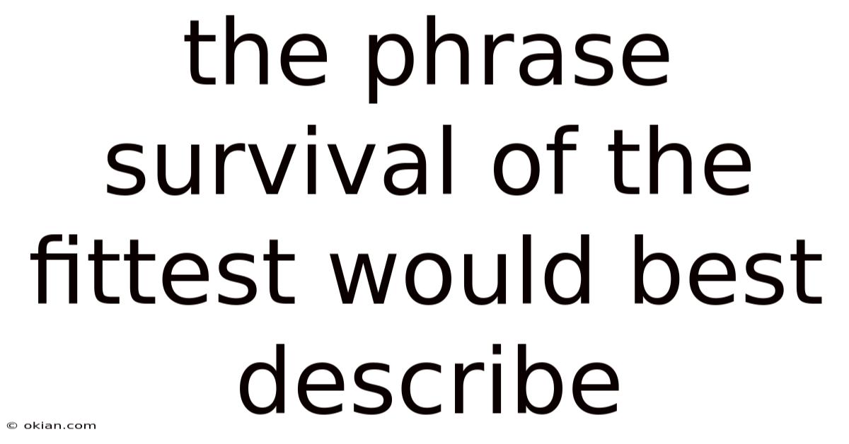 The Phrase Survival Of The Fittest Would Best Describe
