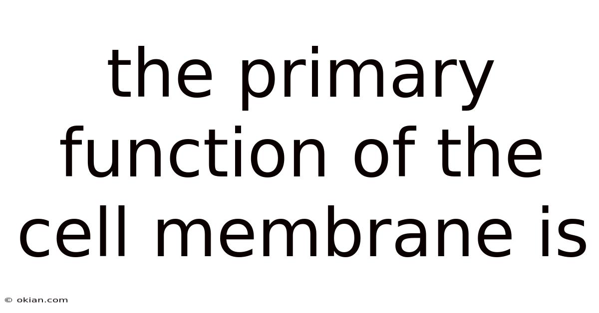 The Primary Function Of The Cell Membrane Is