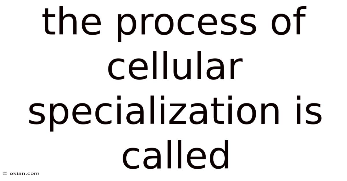The Process Of Cellular Specialization Is Called