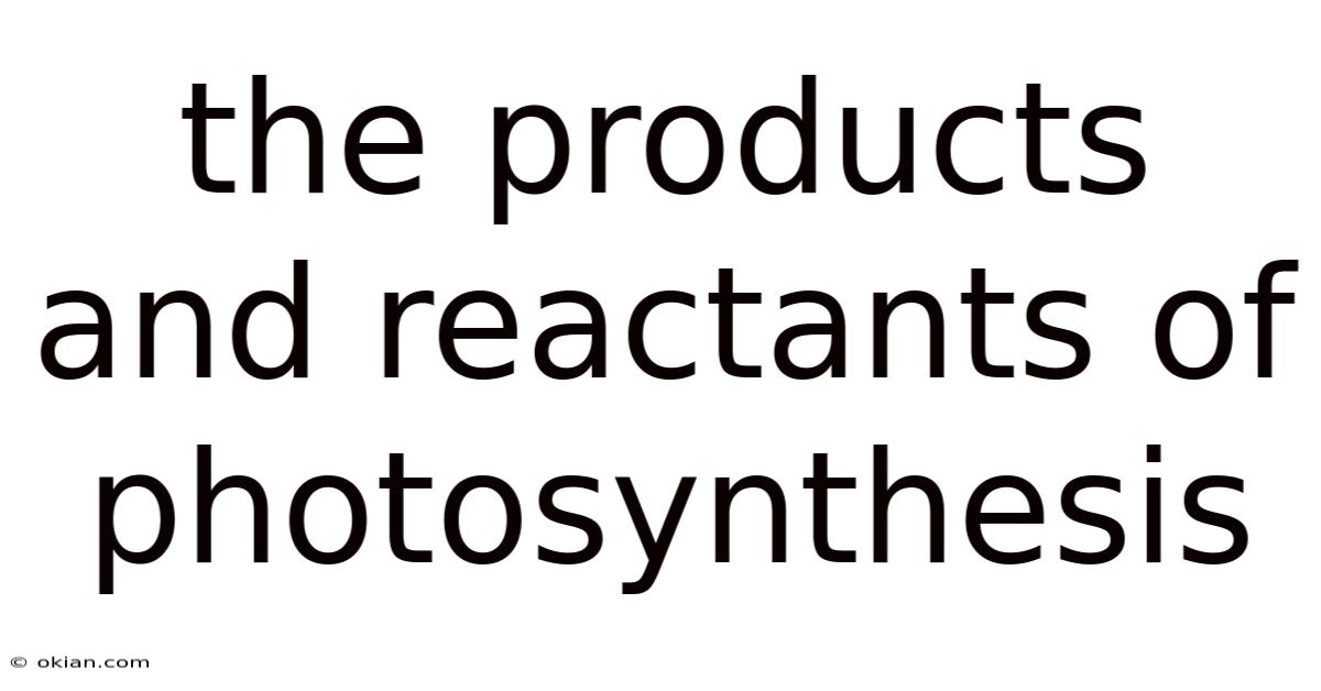 The Products And Reactants Of Photosynthesis