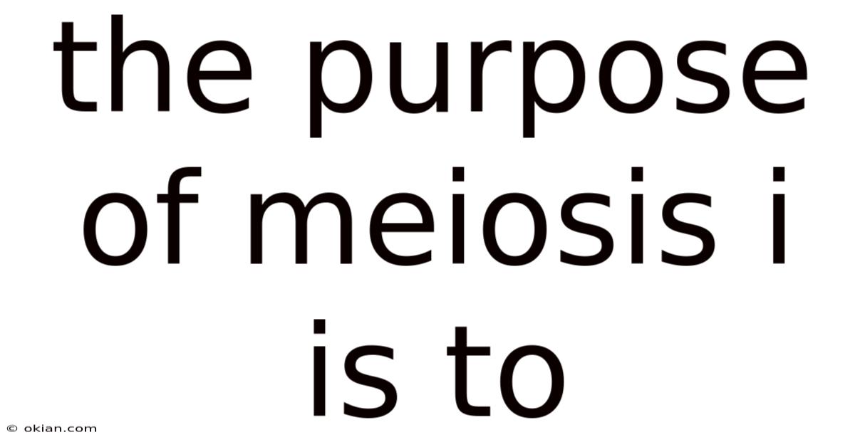 The Purpose Of Meiosis I Is To