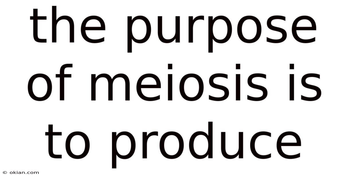 The Purpose Of Meiosis Is To Produce