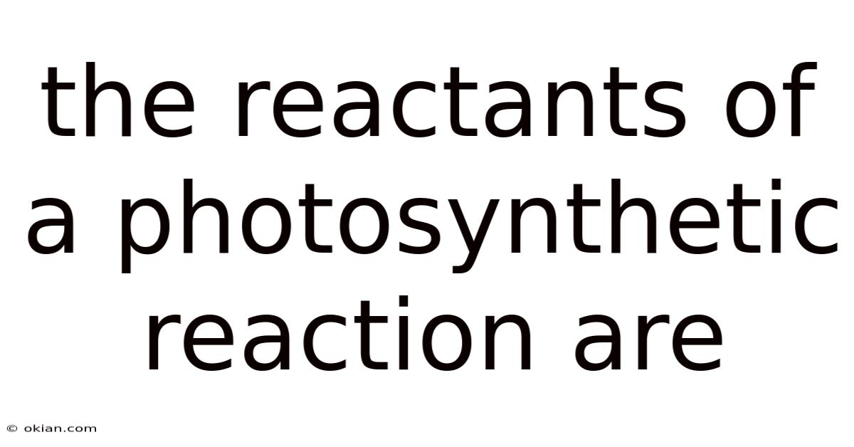 The Reactants Of A Photosynthetic Reaction Are