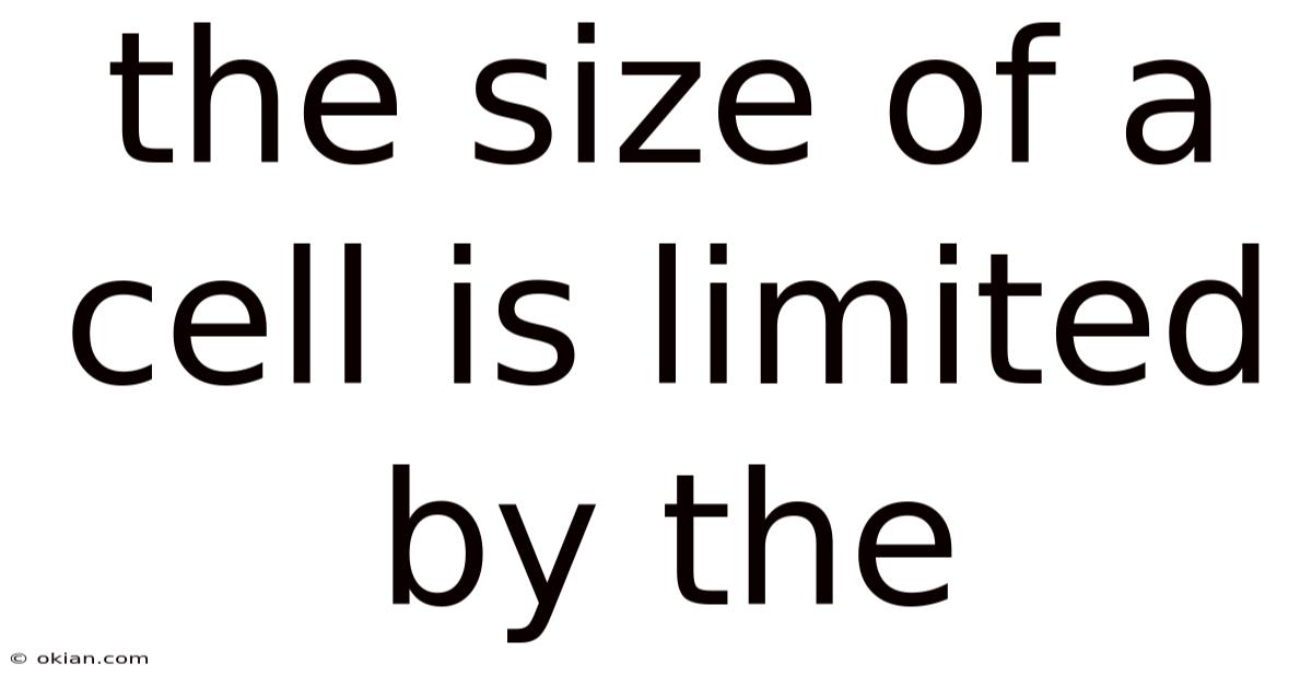 The Size Of A Cell Is Limited By The