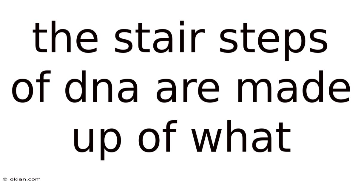 The Stair Steps Of Dna Are Made Up Of What