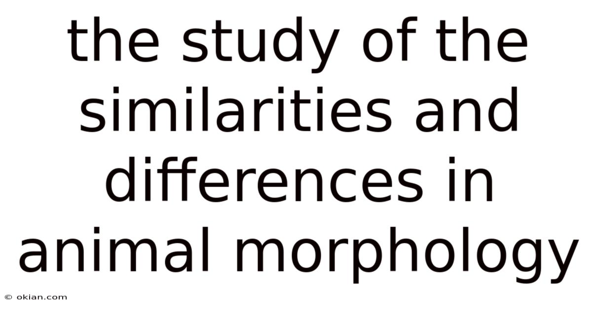 The Study Of The Similarities And Differences In Animal Morphology