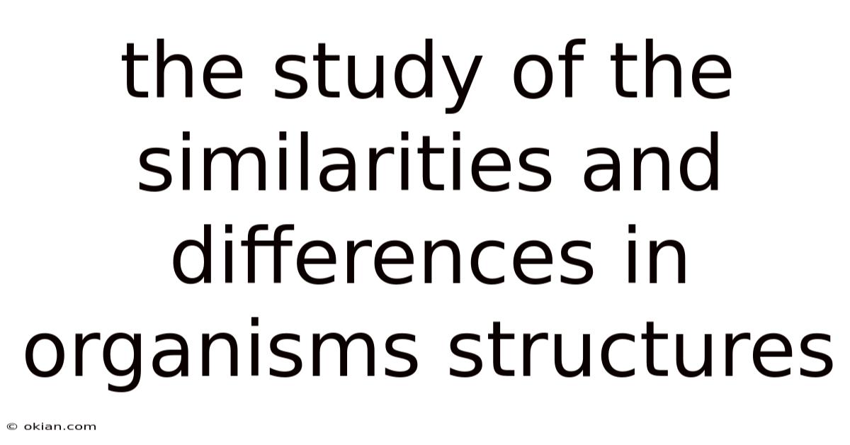 The Study Of The Similarities And Differences In Organisms Structures