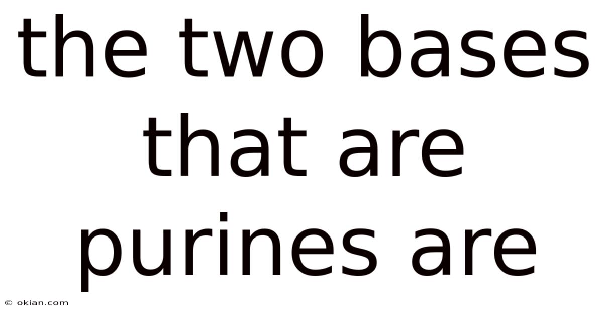 The Two Bases That Are Purines Are
