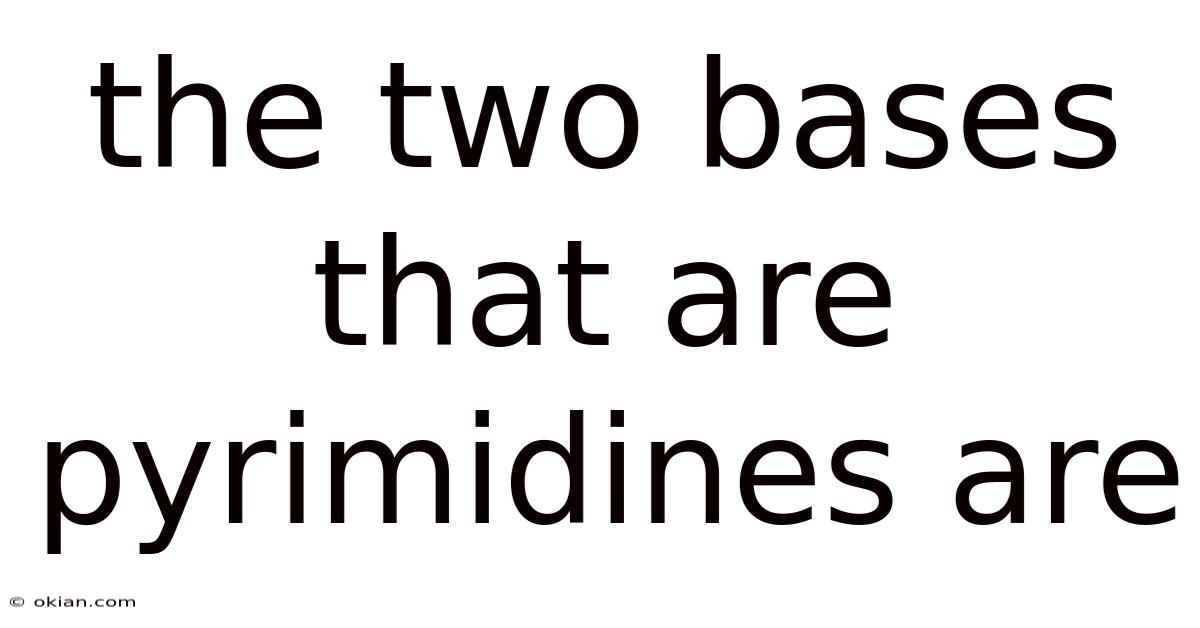 The Two Bases That Are Pyrimidines Are