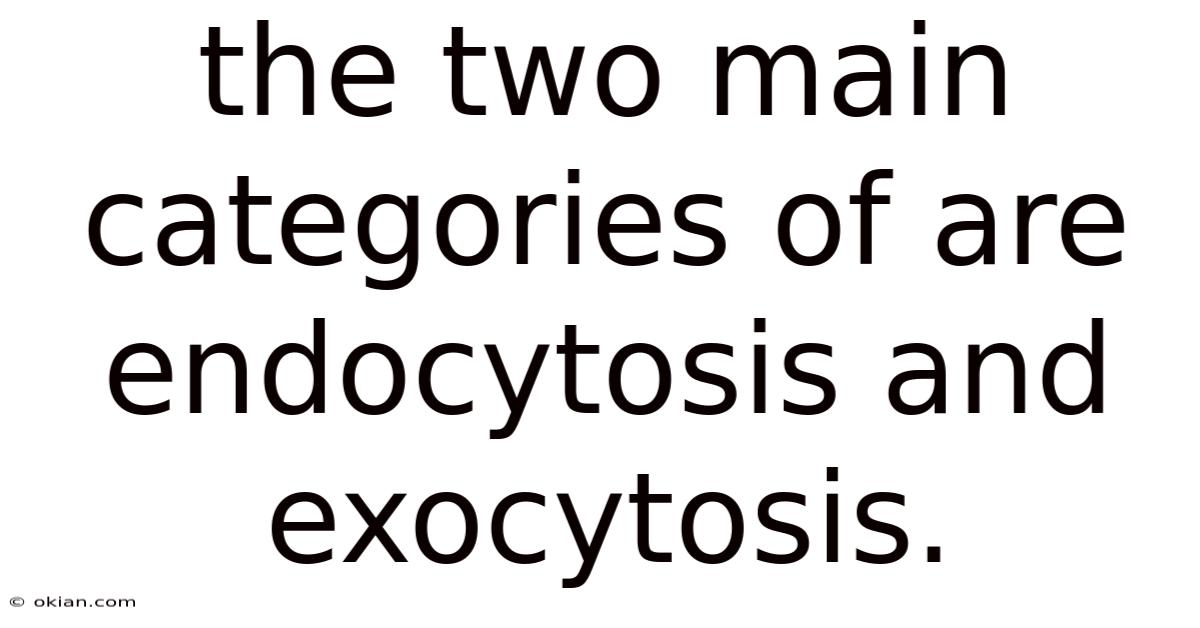 The Two Main Categories Of Are Endocytosis And Exocytosis.