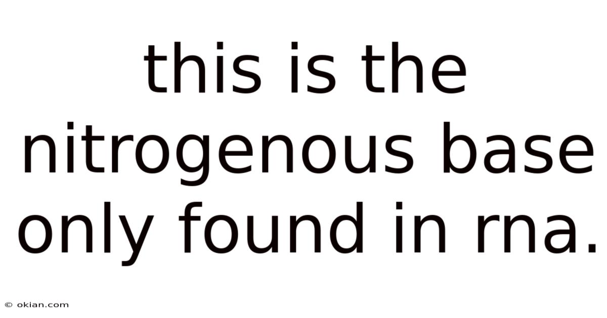 This Is The Nitrogenous Base Only Found In Rna.