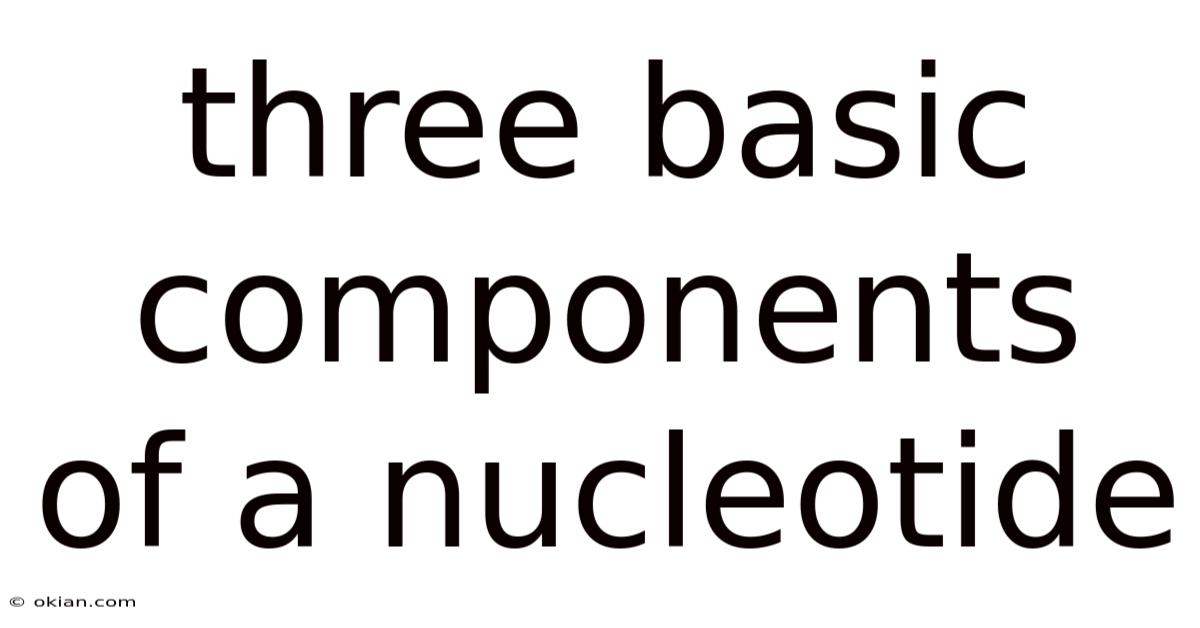 Three Basic Components Of A Nucleotide