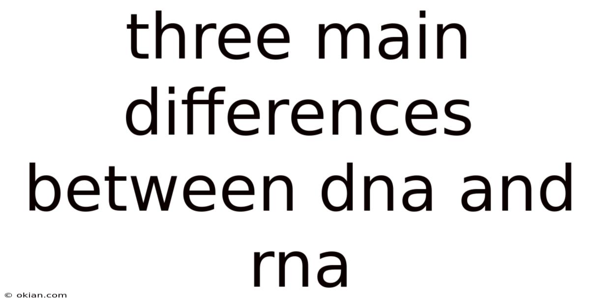 Three Main Differences Between Dna And Rna
