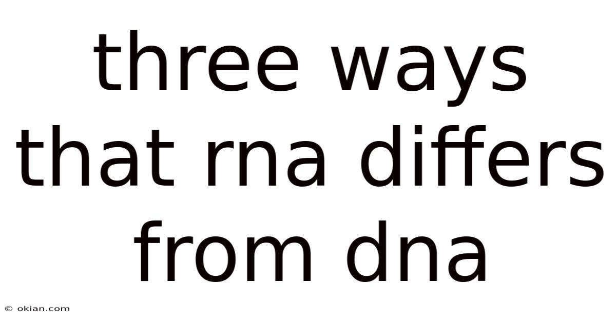Three Ways That Rna Differs From Dna