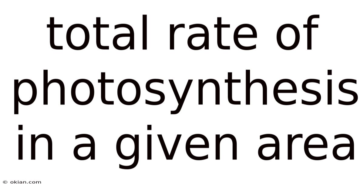 Total Rate Of Photosynthesis In A Given Area