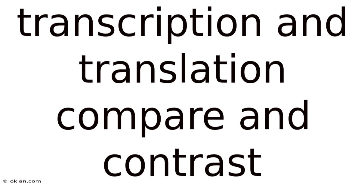 Transcription And Translation Compare And Contrast