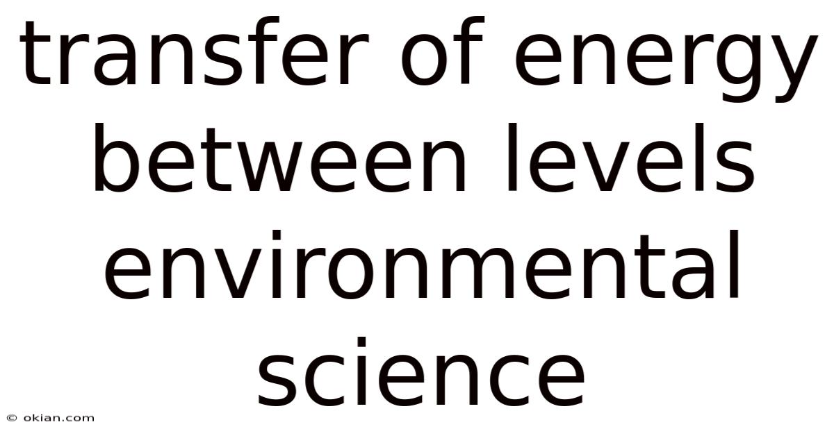 Transfer Of Energy Between Levels Environmental Science