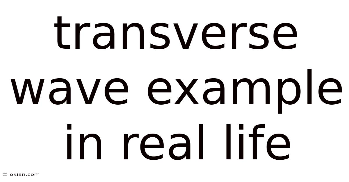 Transverse Wave Example In Real Life