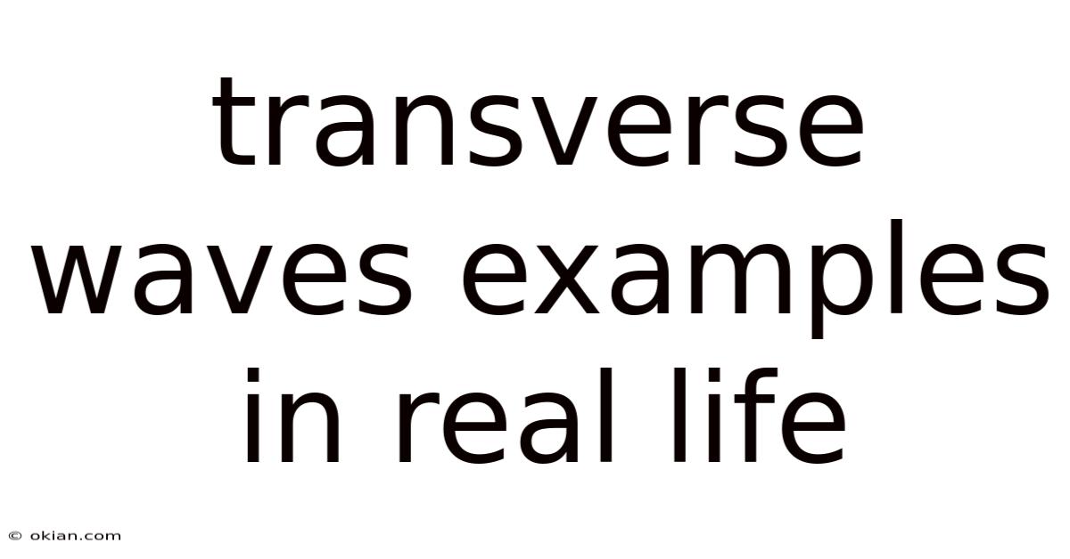 Transverse Waves Examples In Real Life