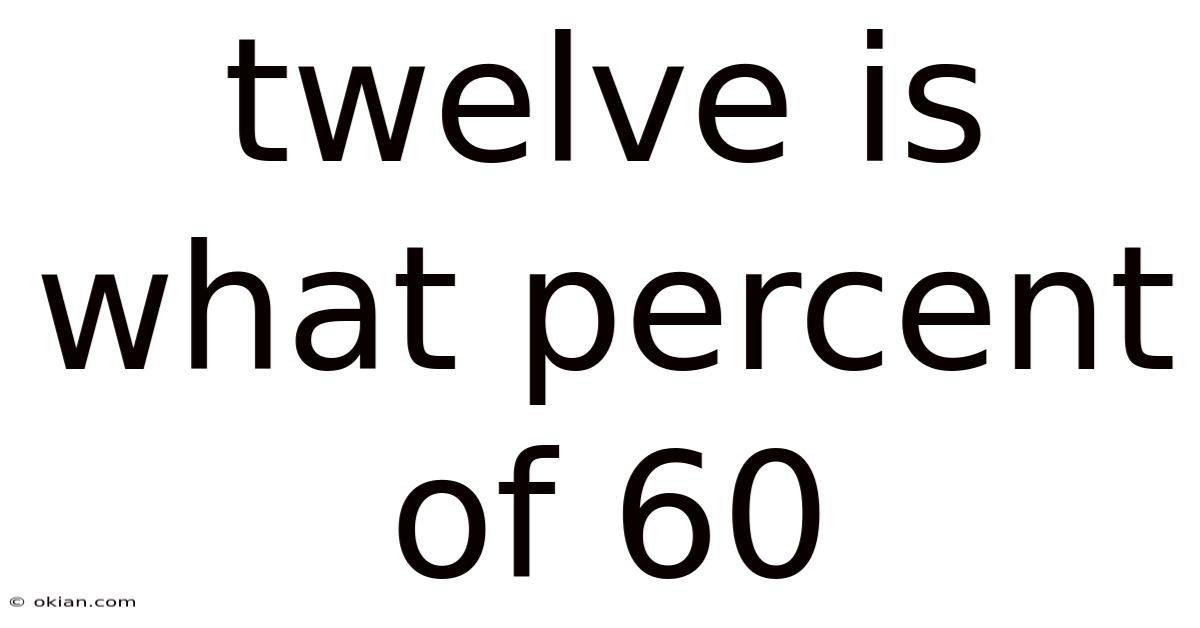 Twelve Is What Percent Of 60