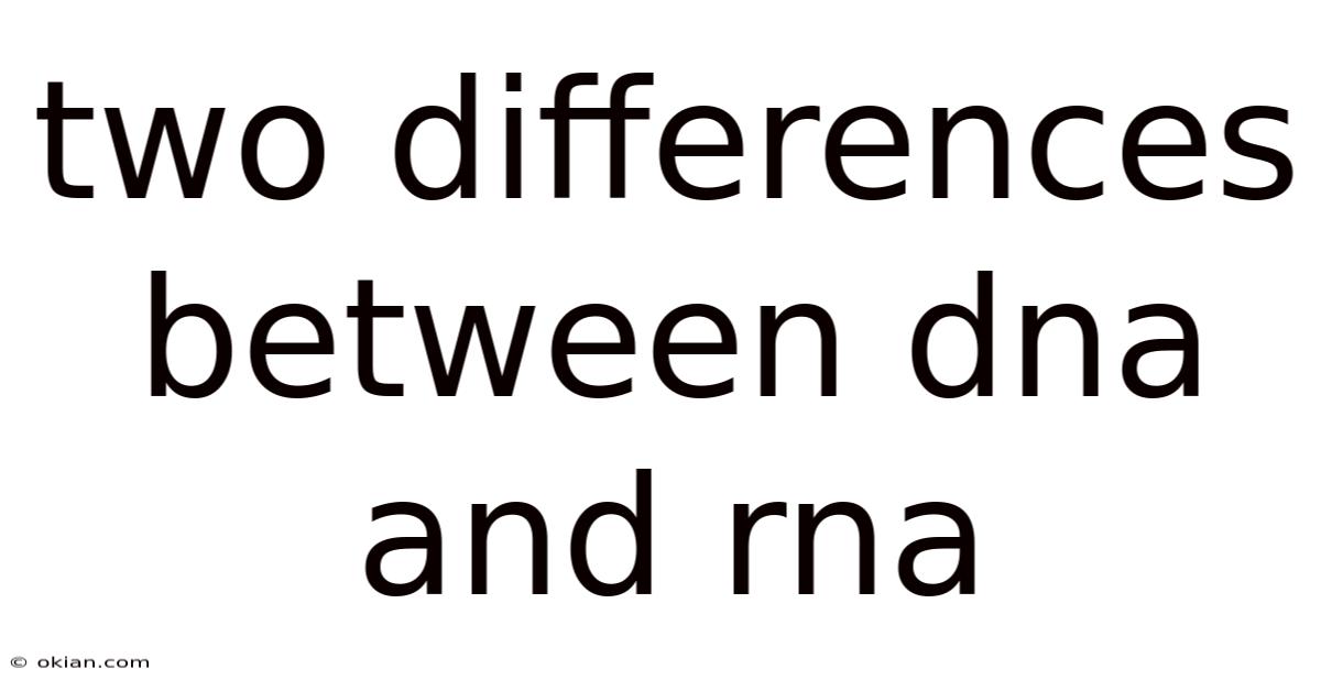 Two Differences Between Dna And Rna