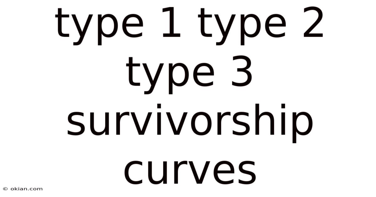 Type 1 Type 2 Type 3 Survivorship Curves
