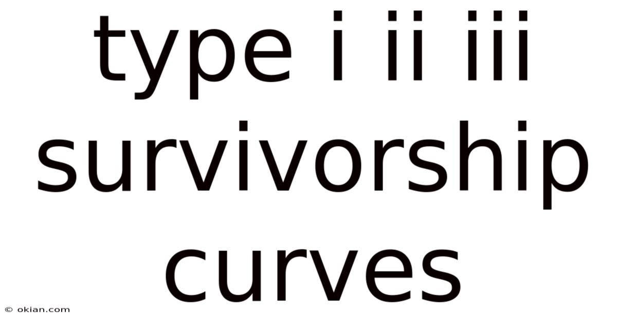 Type I Ii Iii Survivorship Curves