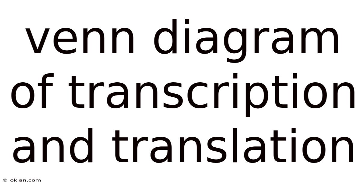 Venn Diagram Of Transcription And Translation