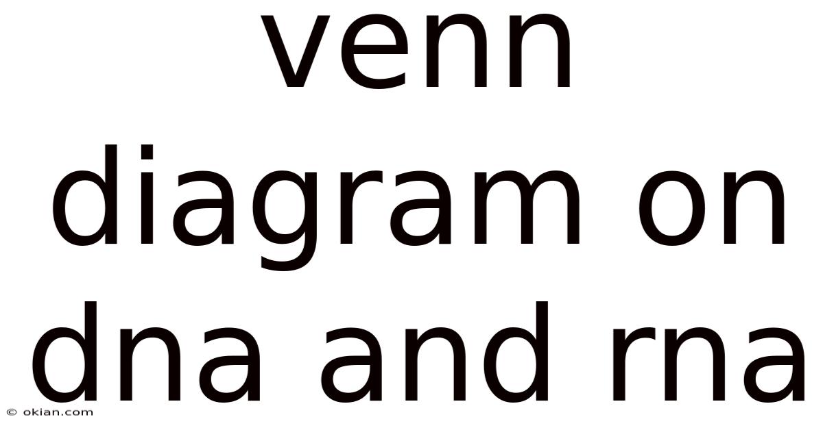 Venn Diagram On Dna And Rna