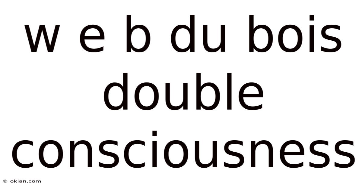 W E B Du Bois Double Consciousness