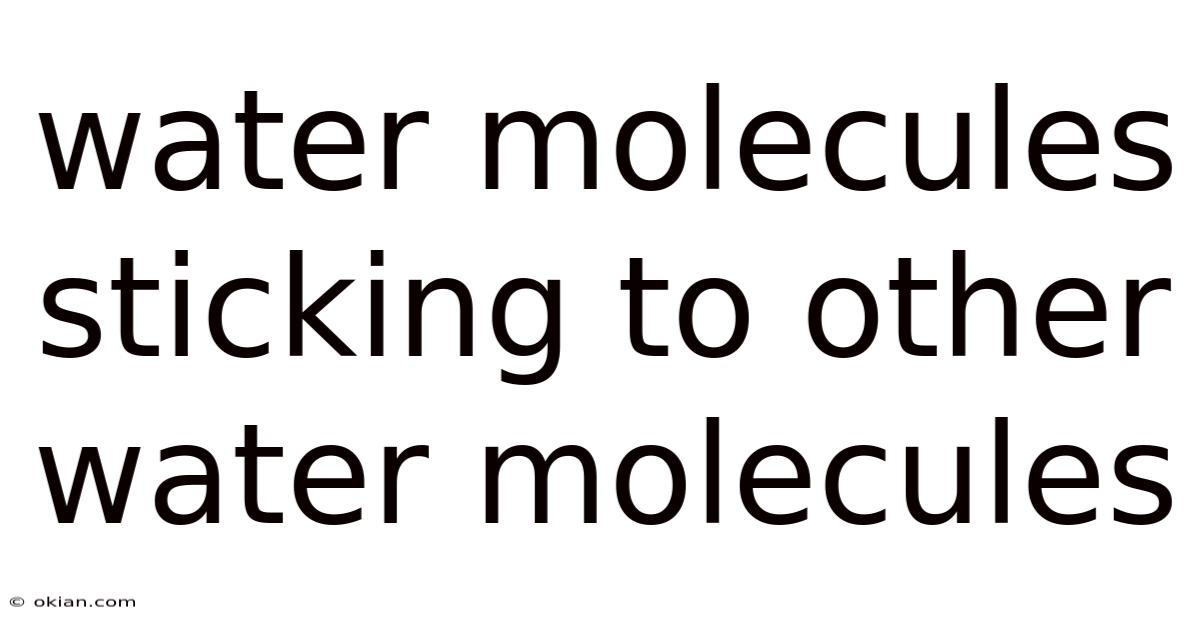 Water Molecules Sticking To Other Water Molecules