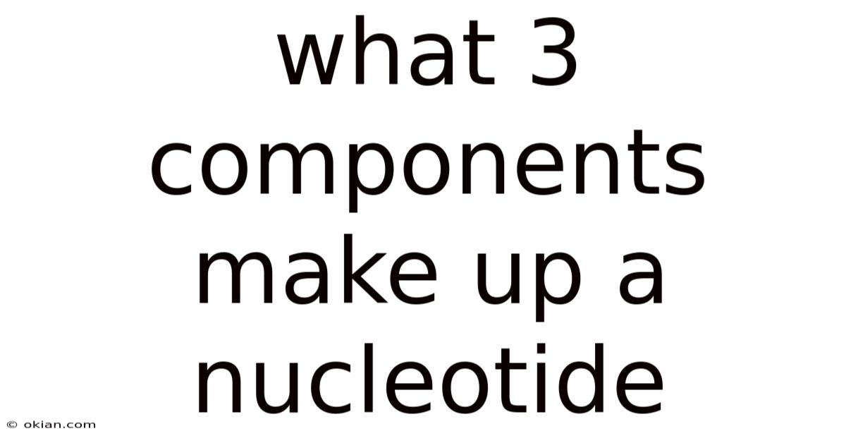 What 3 Components Make Up A Nucleotide