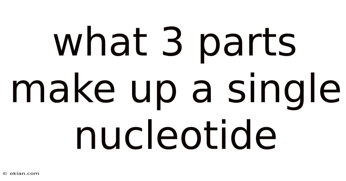 What 3 Parts Make Up A Single Nucleotide