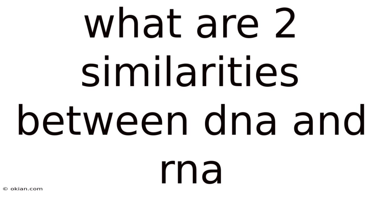 What Are 2 Similarities Between Dna And Rna