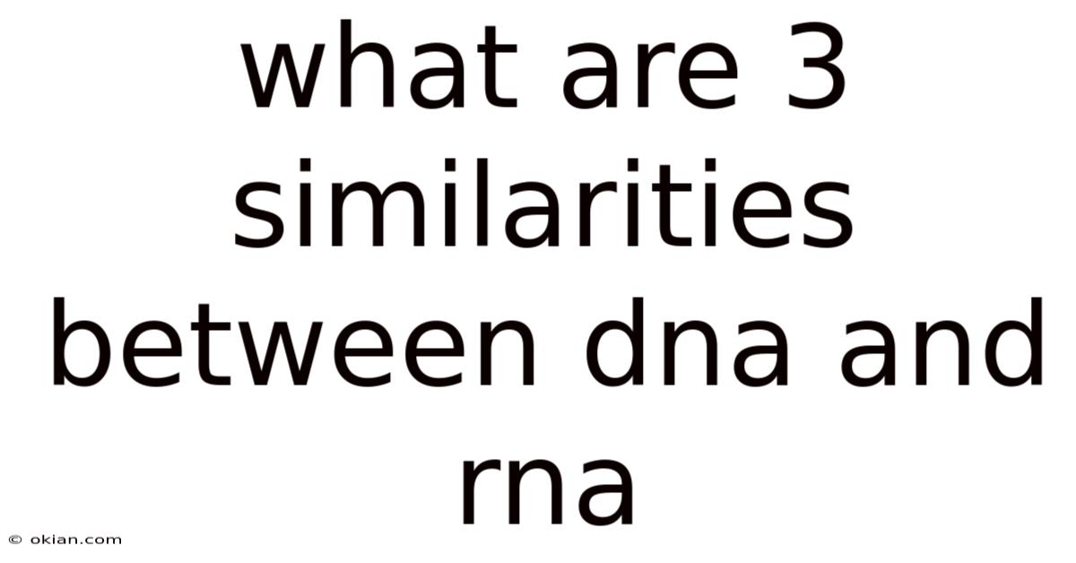 What Are 3 Similarities Between Dna And Rna